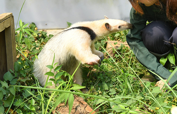 DSC_0134のコピー